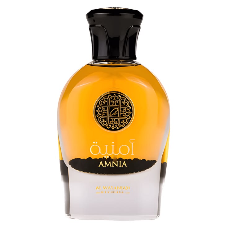 AL WATANIAH ETERNAL AMNIA EDP 100ML